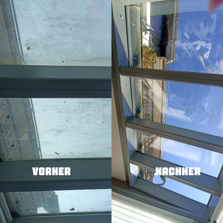 Vergleich von einem verschmutzten und einem sauberen Terrassendach.