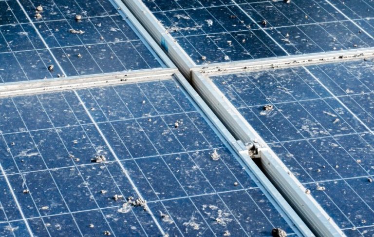 Photovoltaik reinigen kosten