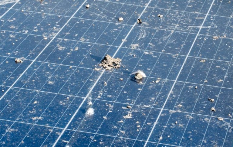 Photovoltaik reinigen kosten
